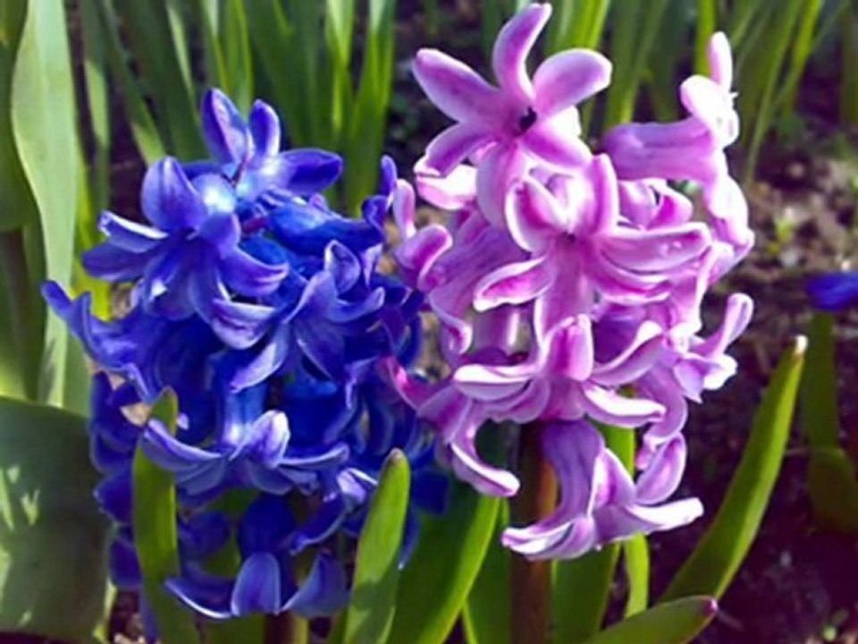 Matt Darey & Aeron Aether ft. Ridgewalkers - Chasing The Sun (Radio Edit)