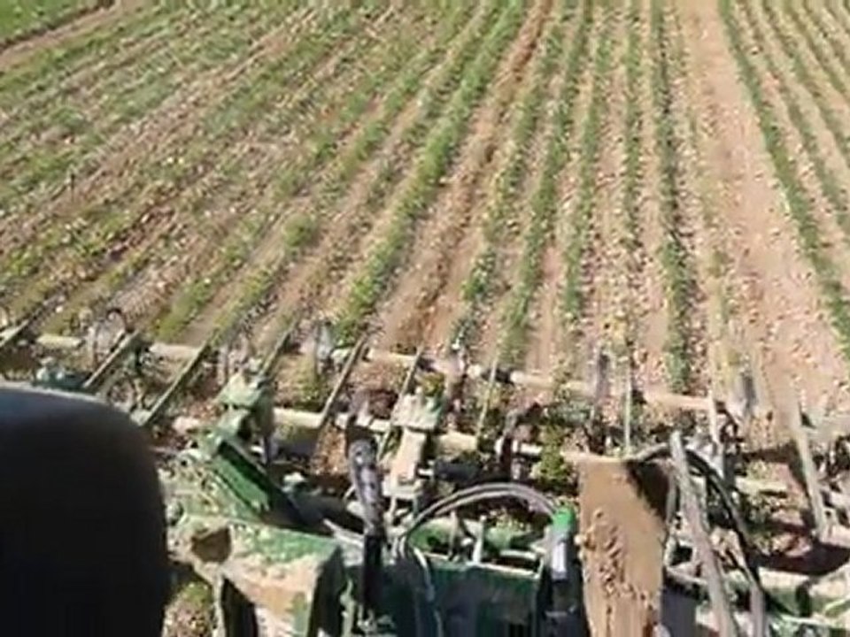 bineuse garford orge de printemps Bio