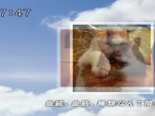 sakusaku 110412 3 平成22年度みんなでうたおうＺ大賞 ♪ネコのバラード