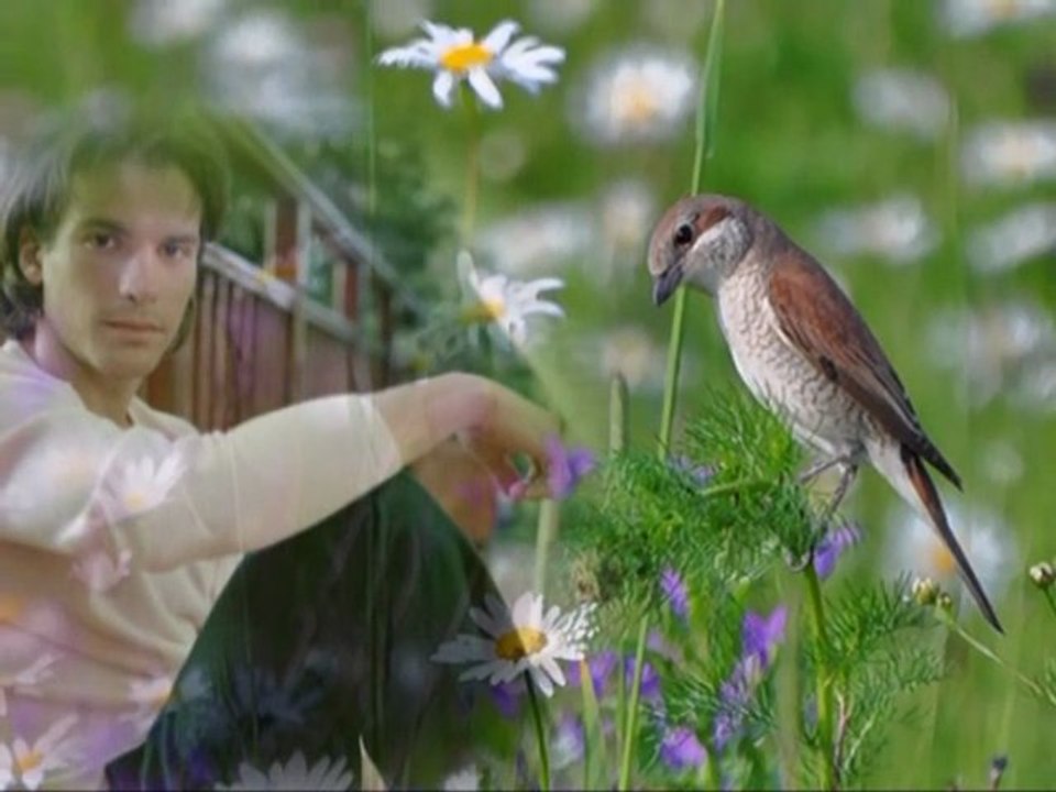*•♥•* Il vit pour vous*•♥•*