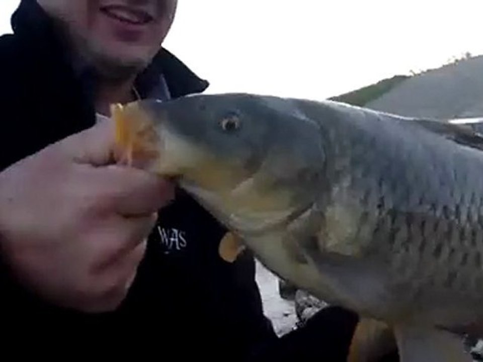 Carpe au leurre