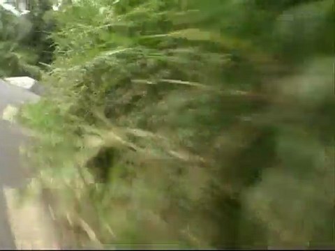 Balade a moto a st pierre, st leu et au maïdo