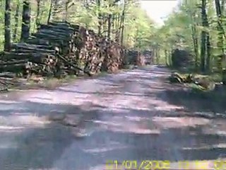 la vibraisienne n°2 le 10.04.2011