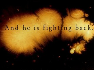 Angel Burn by L.A. Weatherly - Alex