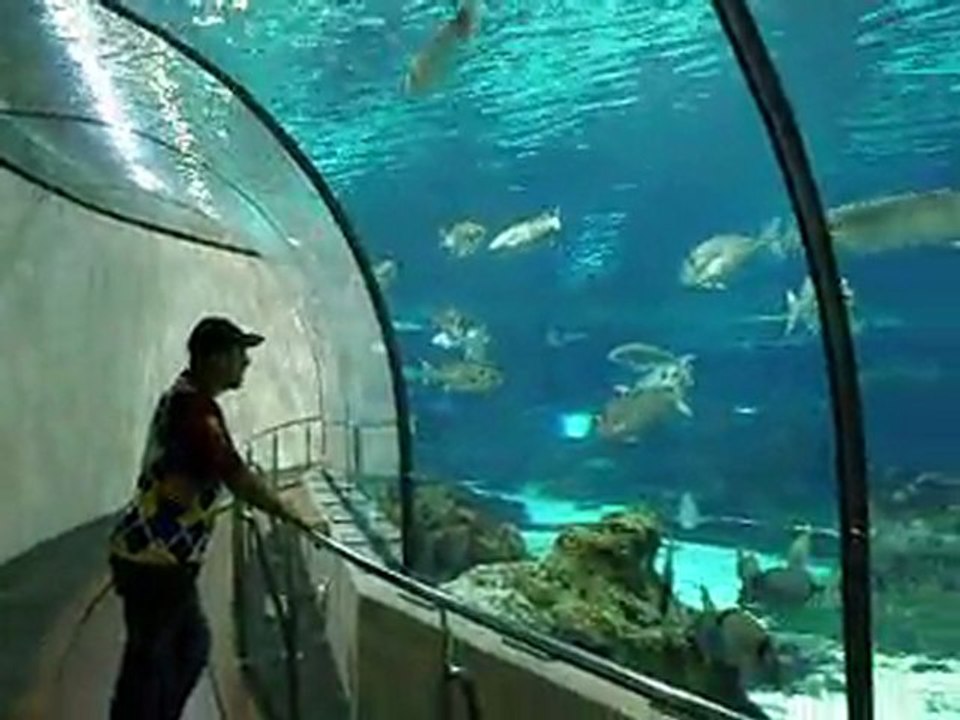 Aquarium de barcelonne