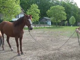 12.04.2011 le reculer