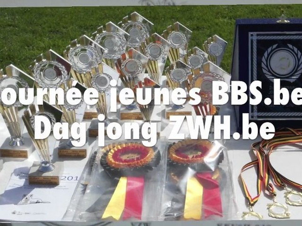 Journée jeunes chiens - BBS.be