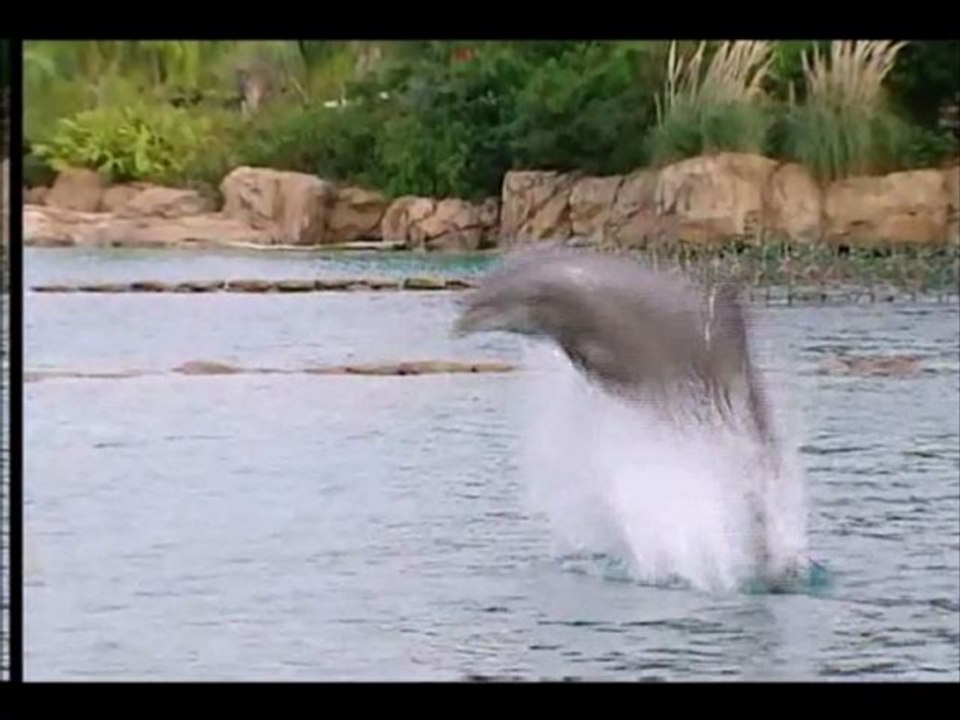 Flipper Explicit