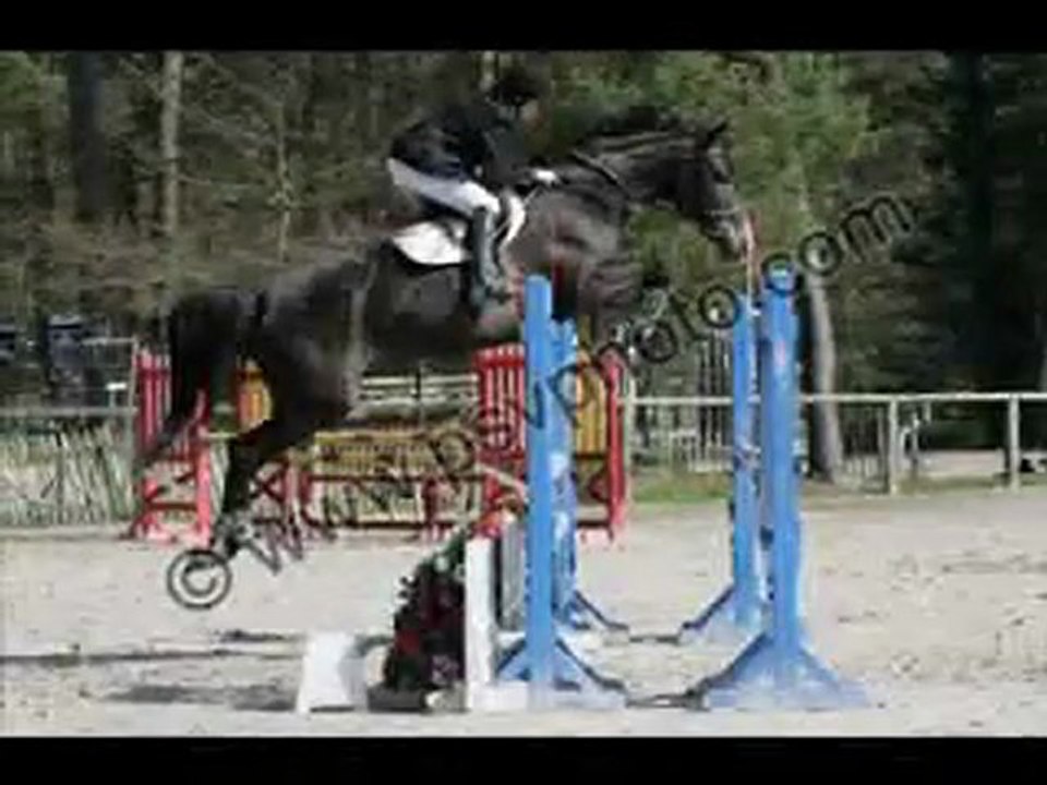 Roro - Fontainebleau