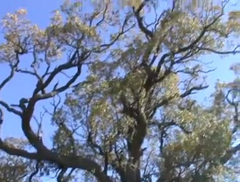 Cevheri Köyü - Tanıtım [2]