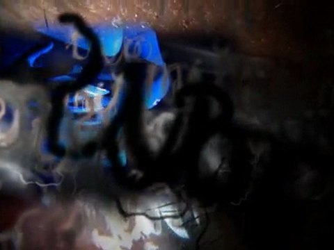 Ambient exhibition call 'NAKED i' showing the fragility of the human body & the materiality that exists outside the personality