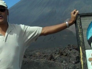 FREE GASOLINE AND FREE GROCERIES-Home-Based Business