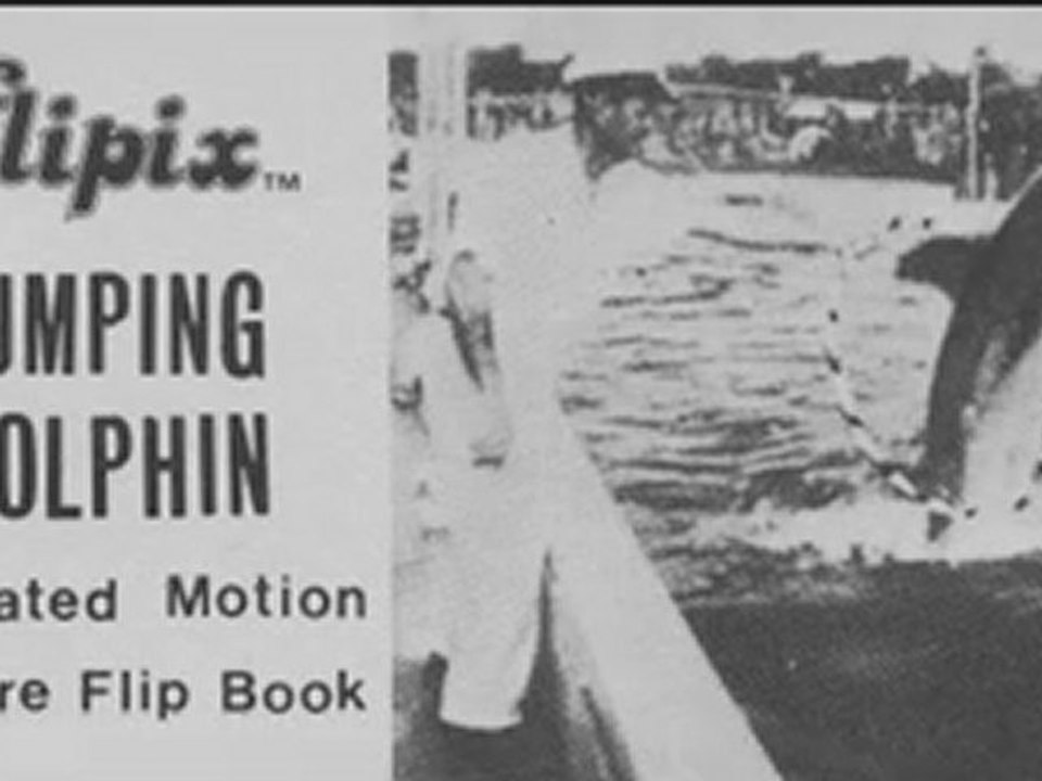 Flipbook : LE DAUPHIN ACROBATE
