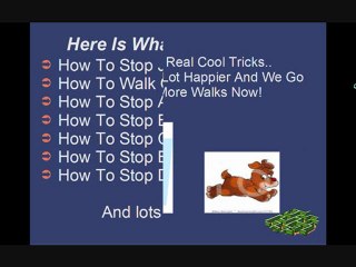 Dog Training Made Easy