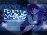 Videotest Fragile Dreams : Farewell Ruins of the Moon (Wii)