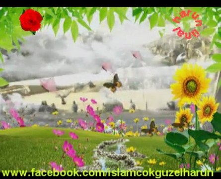 Cürmüm İle Geldim Sana - Affeyle Beni Ya Rabbi (c.c.)