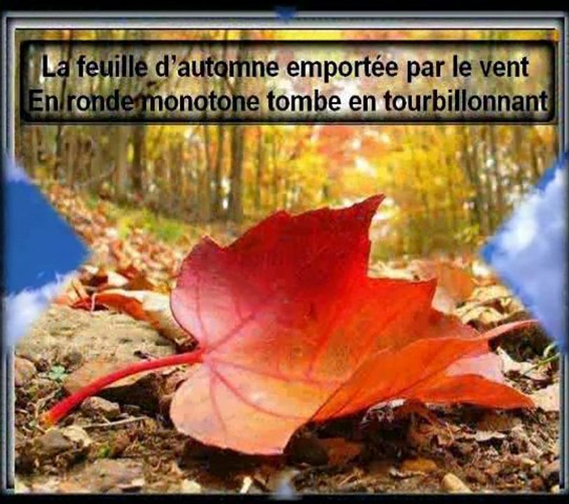 Colchique dans les prés par José