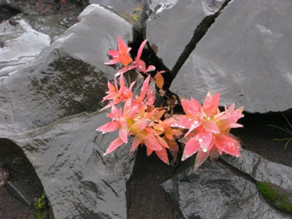 Islandreisen Tipps #7 Mælifellssandur