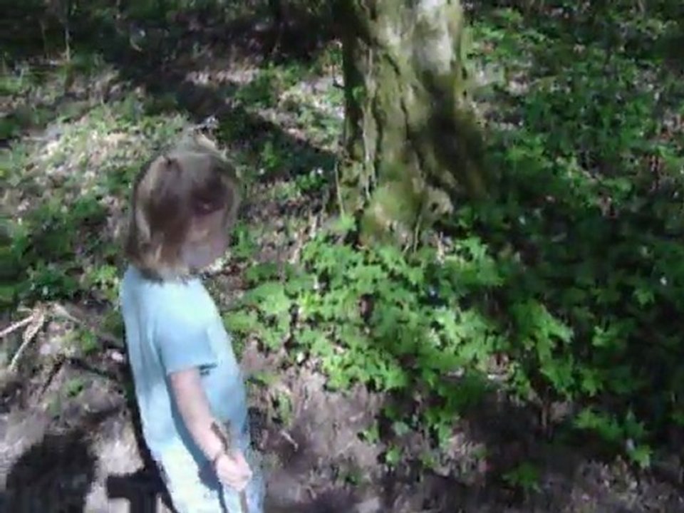 la killeuse d'arraignée