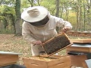 ADN - Accélérateur De Neurones / DNA - The Brain Boosting Magazine