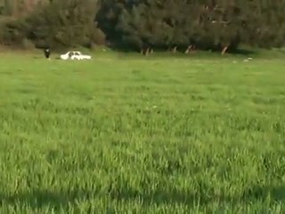 setter av antremanı  www.avyaban.com ergo