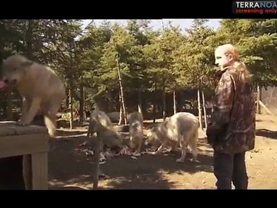 Les Petits Princes Du Monde Sauvage / Little Princes: Meet My Wild Friend