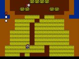 Walkthrough Super Mario Bros. 2 16) Monde 6-1