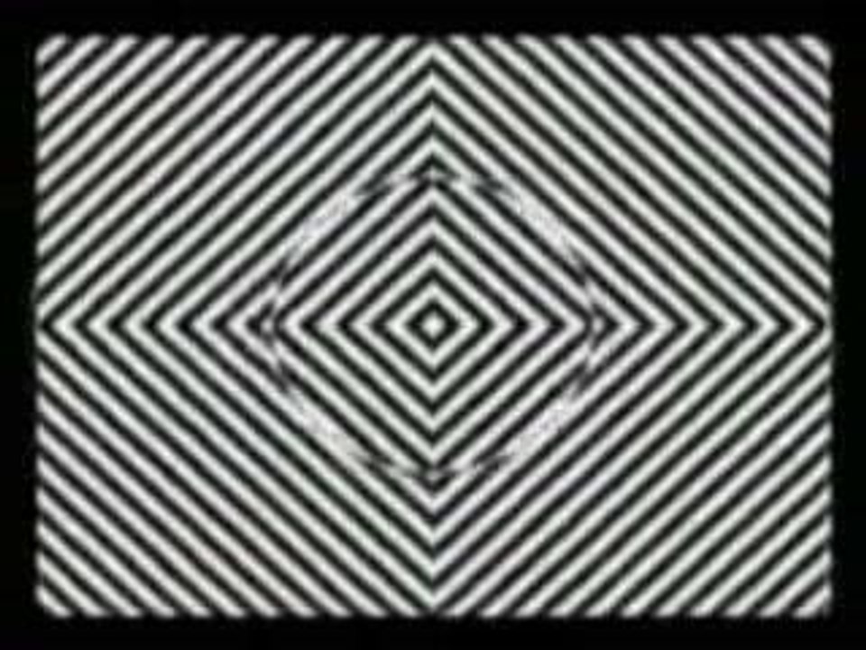 Regarde moi ... Regarde moi bien !