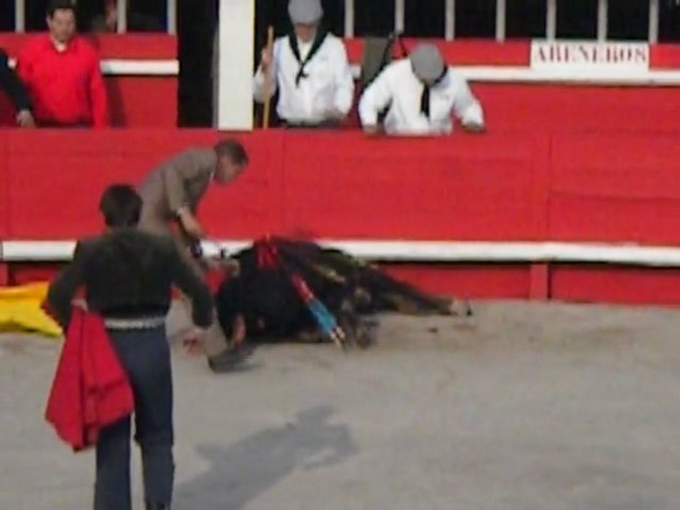 CORRIDA : LA HONTE ! 2