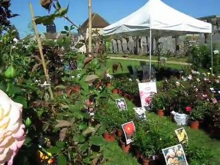 HONNEUR AUX ARTISANS A HENONVILLE