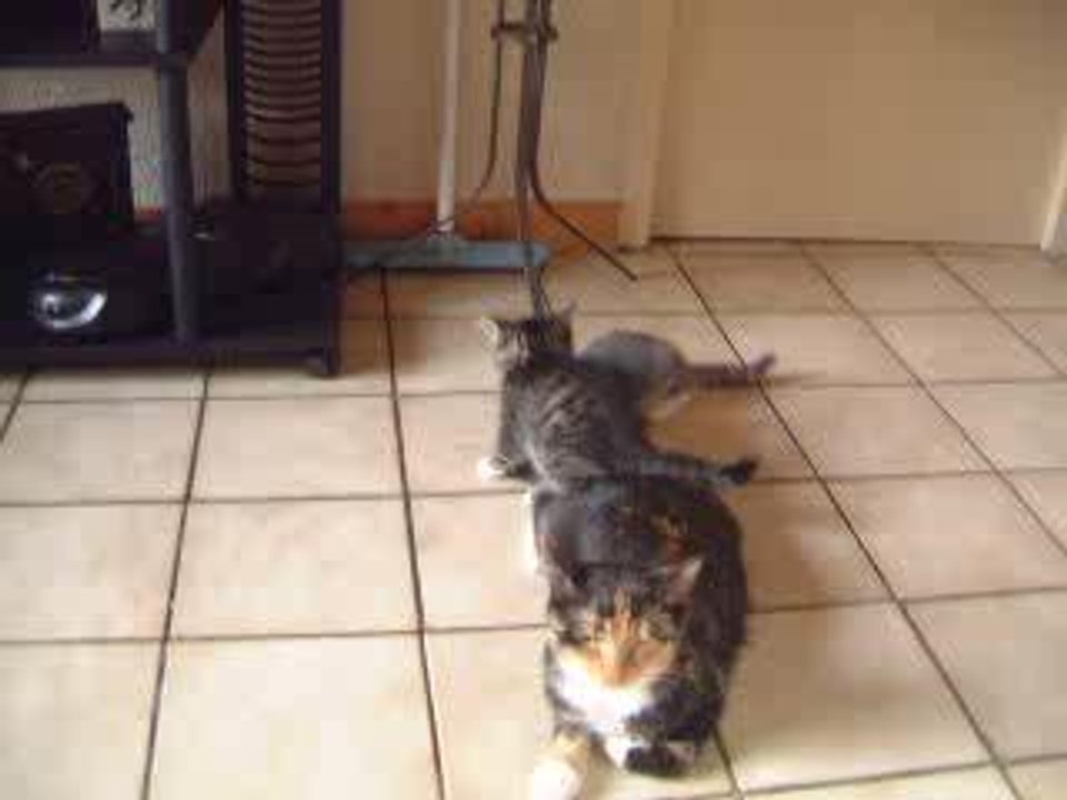 MINOU