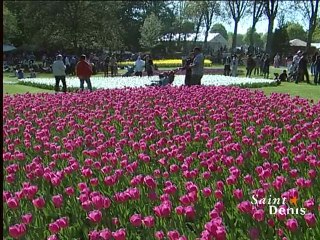 Fête des tulipes au parc de la légion d'honneur