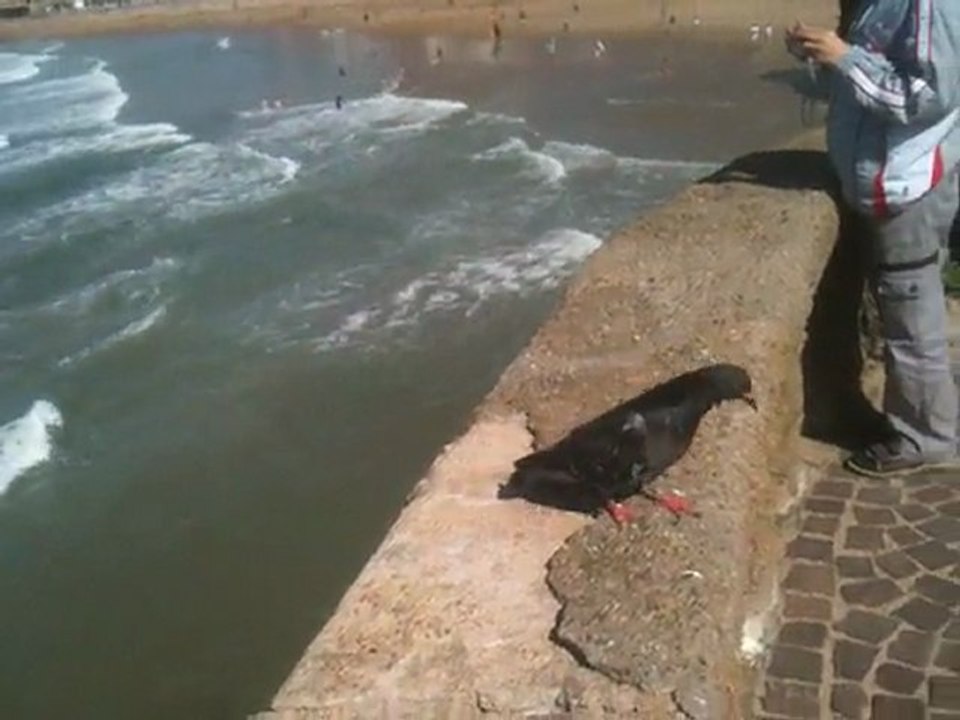 Biarritz