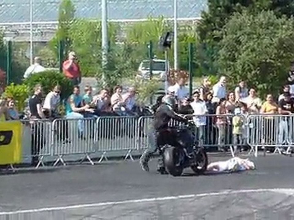 Vivi jaux 2011