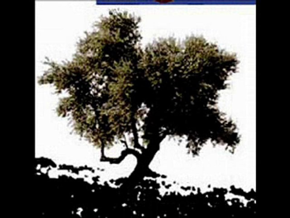 לזכר אלי ענבר