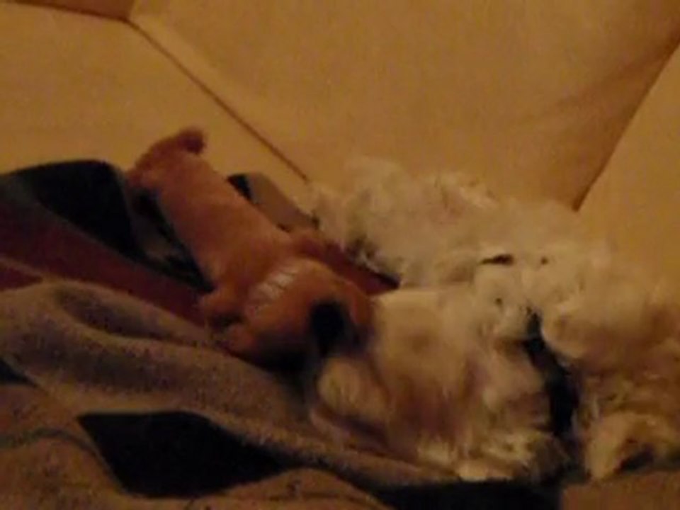 Enya mon bébé d'amour