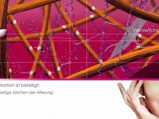 Die Bedeutung Der Glykation