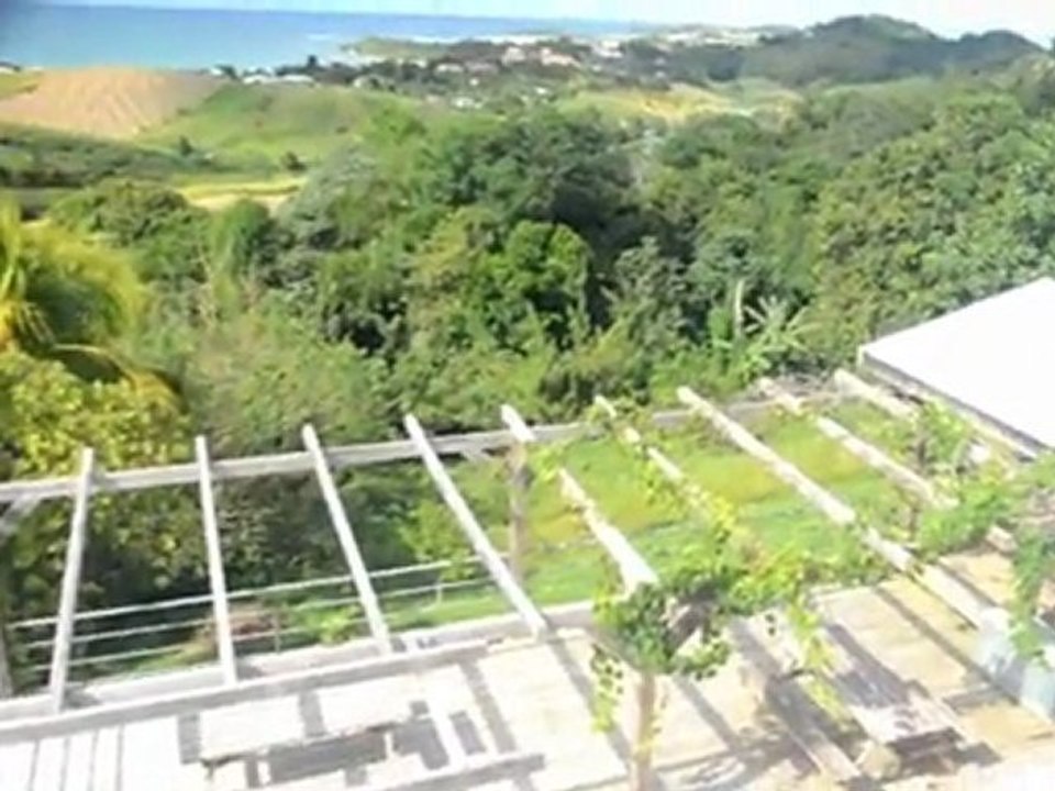 Location Maison Canne à Sucre Martinique la Trinité