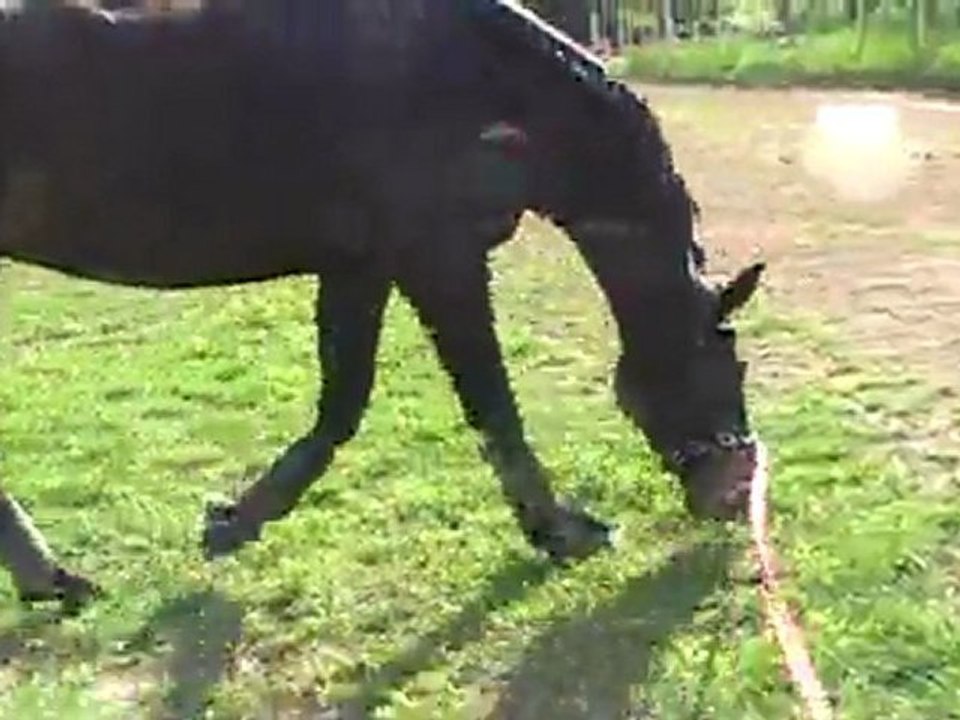 13042011 longe