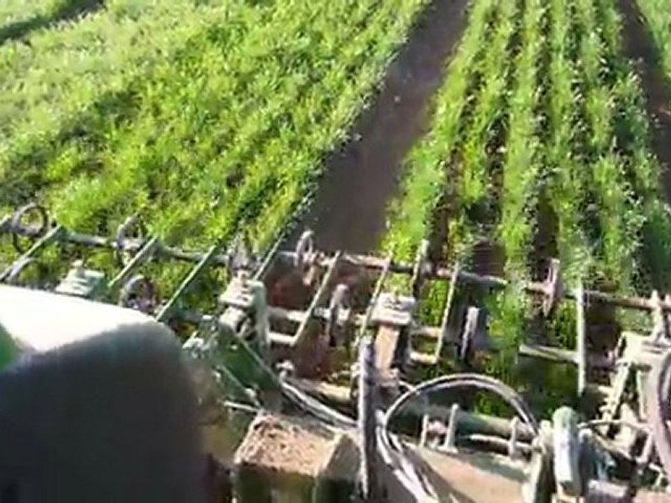 garford binage blé Bio