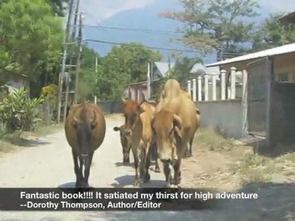 GRINGOS IN PARADISE: Our Honduras Odyssey