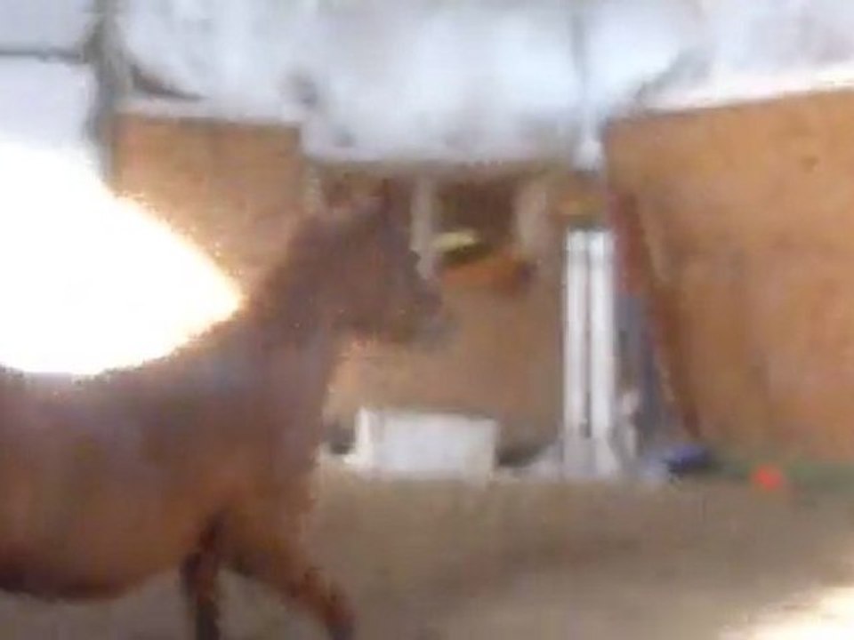 Encore du saut en liberté avril 2011