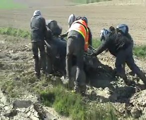 rando yan avril 2011