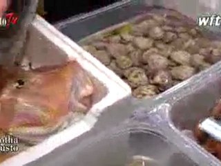 VIZI CAPITALI, ristorante tipico a Roma Trastevere