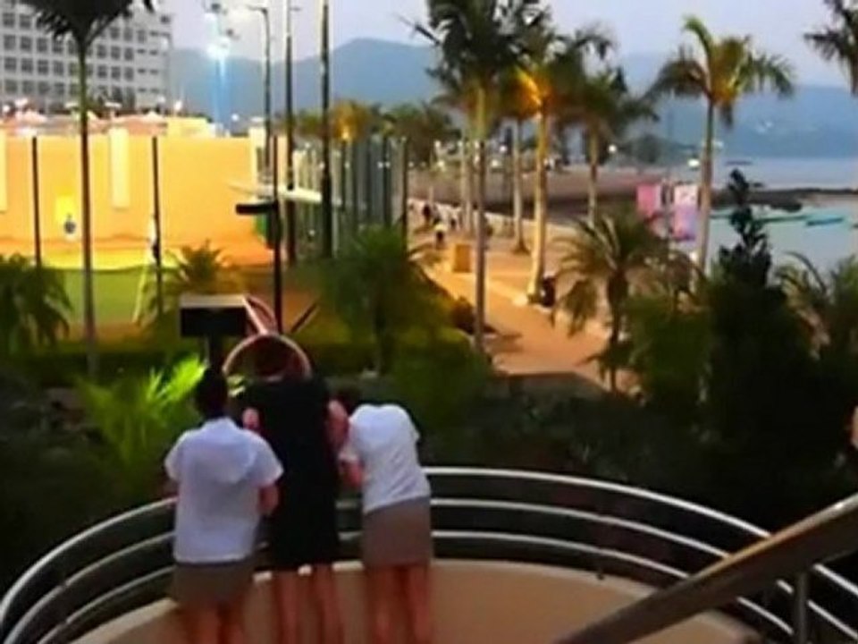 parkour fail palmier