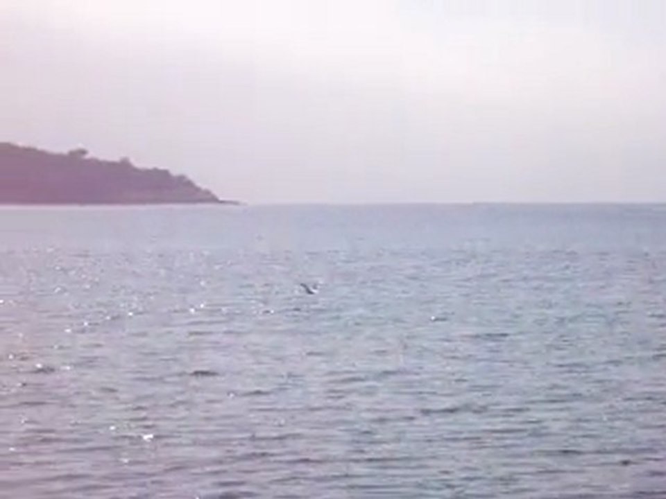 LA MER suite 5