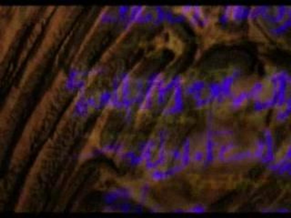 Legend Of Dragoon Opening