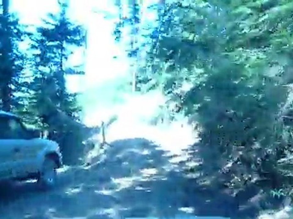 Sortie 4x4 Beaujolais 2011 Piste rapide 1030064