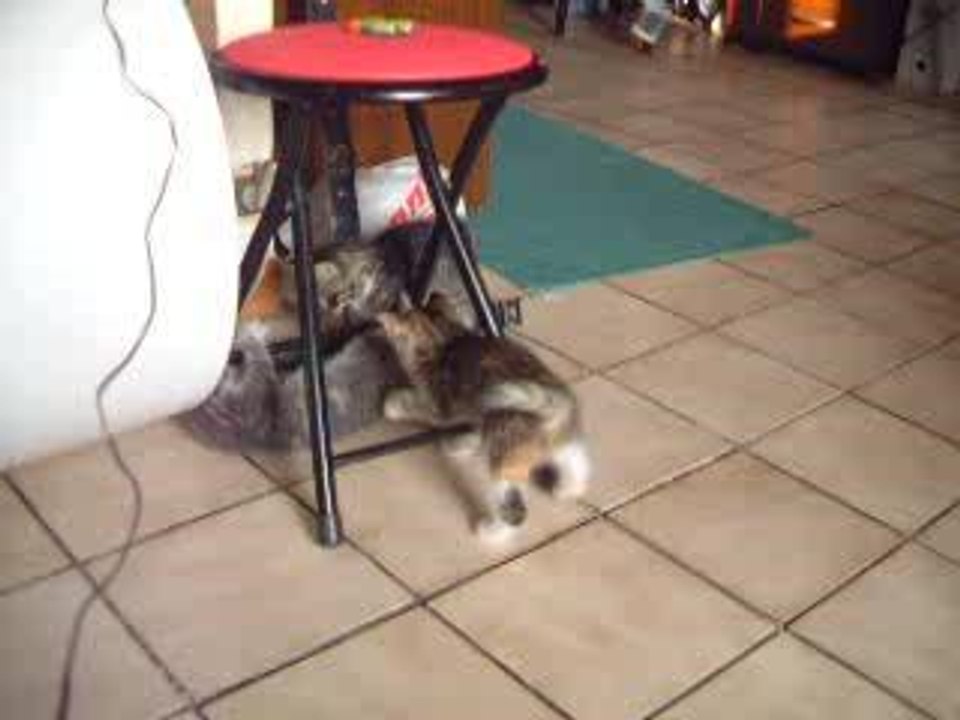 MINOU 4