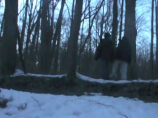 Woods of Cross Trailer